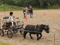 img_9494_web